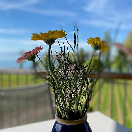 Appartementhotel Roehrenbach Immenstaad am Bodensee Ngoại thất bức ảnh