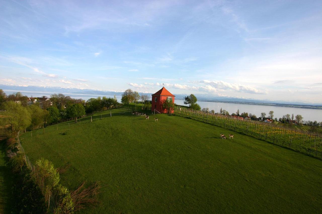 Appartementhotel Roehrenbach Immenstaad am Bodensee Ngoại thất bức ảnh