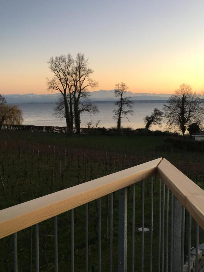Appartementhotel Roehrenbach Immenstaad am Bodensee Ngoại thất bức ảnh