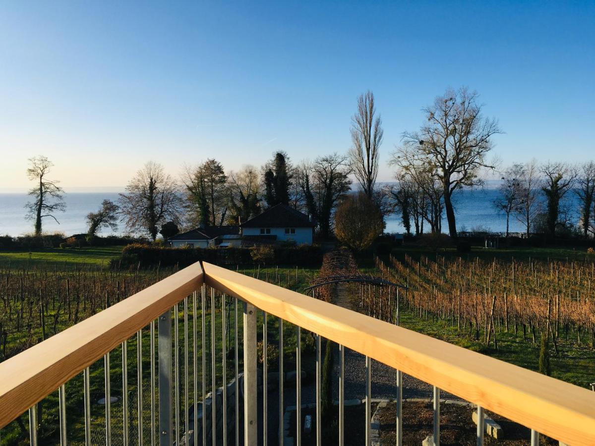Appartementhotel Roehrenbach Immenstaad am Bodensee Ngoại thất bức ảnh